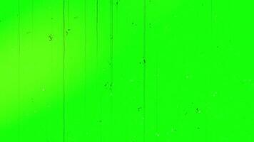Green Screen Texture With Static Noise and Flicker video