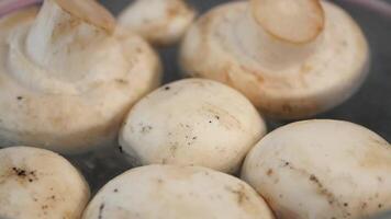 slow motion of mushrooms falling in a pot with water video