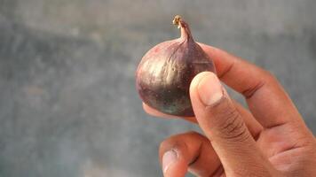 Fresh fig being held in hand at a market in the afternoon light video