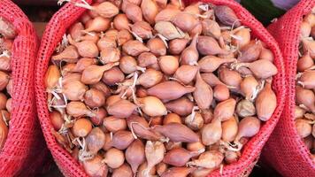 Fresh shallots in red burlap sacks at local market video