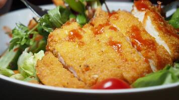 Crispy chicken dish served with fresh salad and sauce video