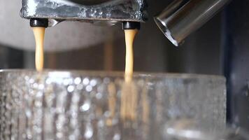 Stylish espresso extraction process in a modern kitchen setup video