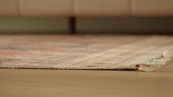 Living room transformation with a colorful area rug video