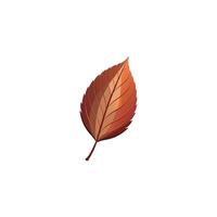 Natural Leaf Drawing with White Background Accent vector