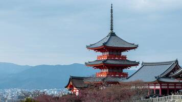 A pagoda in the middle of a mountain with a view of the city video