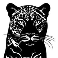 Illustration of a leopard portrait on a white background. vector