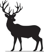 A silhouette of a deer standing on a white background vector