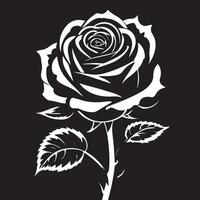 A black and white rose on a black background vector