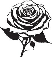 A black and white rose on a white background vector