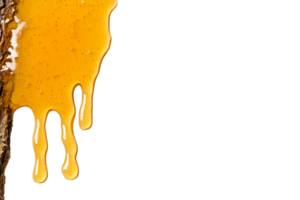 Dripping golden honey from wood, closeup texture, cut out transparent png