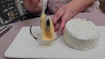 cheese honey plate. Variety of hard cheese and honey stick with honey in slow motion. video