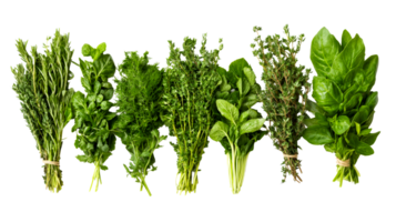 Assorted herbs isolated on black background, cut out transparent png