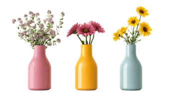 Three colorful vases holding flowers, in a row, cut out transparent png