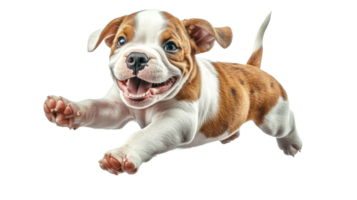 Playful puppy jumping with joy and enthusiasm in bright colors png