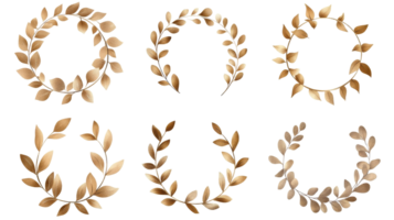 Golden botanical wreaths isolated on black background, cut out transparent png
