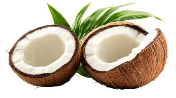 Two halved coconuts with green leaves, tropical fruit, isolated, cut out transparent png