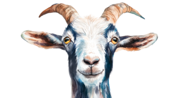 Goat with horns staring ahead, portrait, watercolor style, cut out transparent png