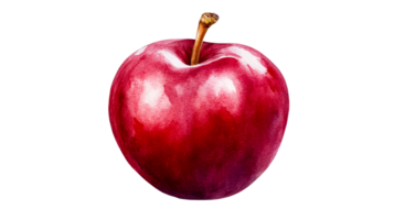 Watercolor illustration of red apple with stem, isolated, cut out transparent png