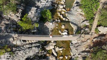 Drone View of Girl on Bridge Over Clear River video