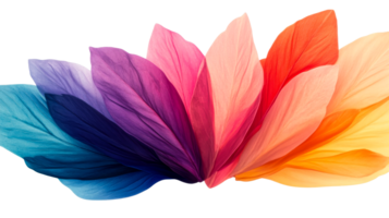 Spectrum of colorful leaves on a black backdrop, cut out transparent png