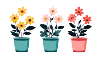 flor panelas com diferente cor flores em uma Preto fundo, cortar Fora transparente png