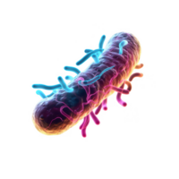 colorful illustration of bacterium showcasing its unique structure and features, emphasizing intricate details of its surface and appendages. This digital art piece captures essence png