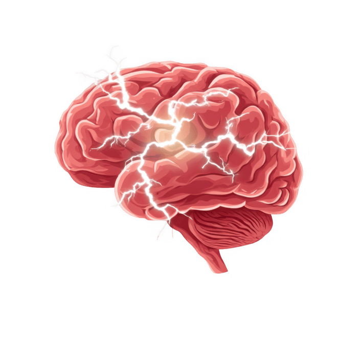 detailed-illustration-of-human