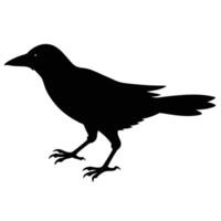 Standing Crow Clipart for Mystery, Gothic and Nature Projects vector