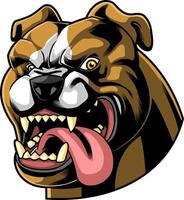 Aggressive Bulldog Head With Sharp Teeth And Long Tongue vector