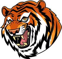 Angry Tiger Head Roaring With Sharp Fangs And Wild Eyes vector