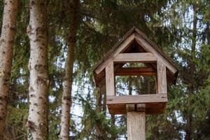A bird feeder in the middle of a forest with trees in the background photo