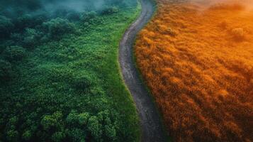Colorful landscape with a winding path through green and orange fields at sunrise photo