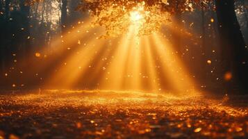 Sunlight breaks through autumn leaves creating a golden glow in a serene forest at dusk photo