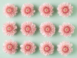 Twelve pink flowers with layered petals are arranged in a symmetrical grid on a plain surface. Each flower's center is detailed, and the petals appear soft and delicate photo