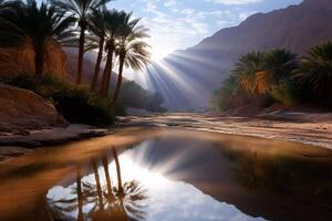 Sun rays illuminating oasis with palm trees reflecting in Wadi Bani Khalid river photo