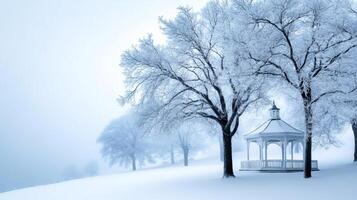 Gazebo standing in snowy park during misty winter day photo