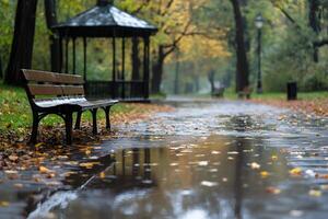 Wet park alley with fallen autumn leaves and empty bench near gazebo during rain photo