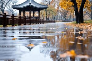 Rain reflecting gazebo and trees in a puddle in autumn park photo
