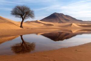 Lonely tree reflecting in a puddle in the Sahara Desert photo