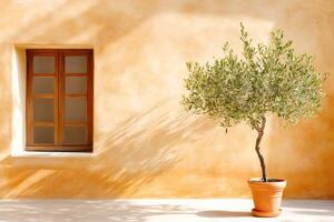 Sunlit Olive Tree Casting Shadows on Rustic Wall photo