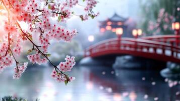 Cherry blossom framing japanese bridge at sunset in spring photo