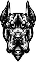 A bold, black and white graphic illustration of the head of a strong, muscular dog, possibly a Cane Corso, Pit Bull, or Boxer, with a serious and determined expression. vector