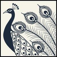 a black and white peacock with feathers on its back vector