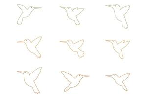 Hummingbird Outline Animal Icon Set vector