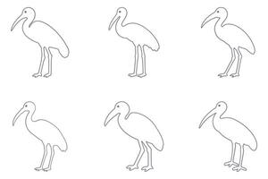 Ibis Outline Animal Icon Set vector