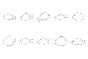 Grouper Fish Outline Icon Set vector
