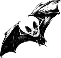 Soaring Bat with Open Wings in Black and White Hand Drawn Illustration vector