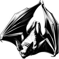 Bat Hanging from Tree in Detailed Hand Drawn Illustration vector