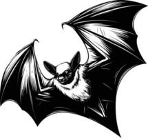 Bat in Mid Flight in Detailed Hand Drawn Illustration vector