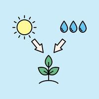 photosythesis with the help of sun and rain as a source of water vector